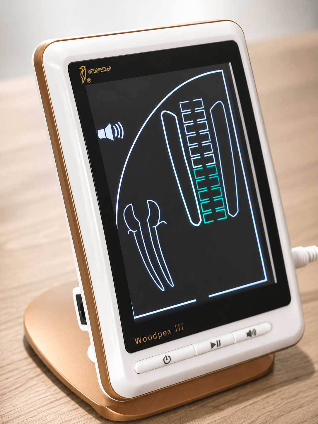 Endometr Woodpex III